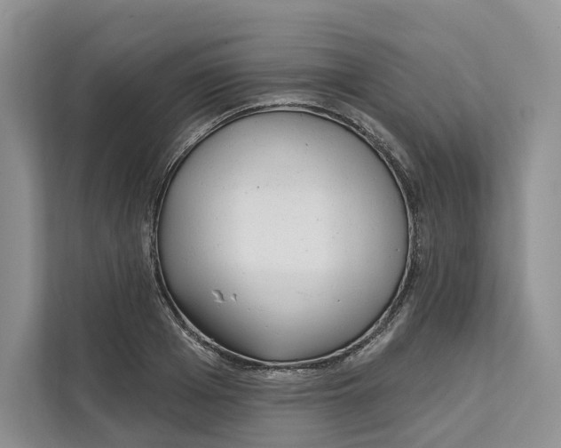 X0000111610985200908071327