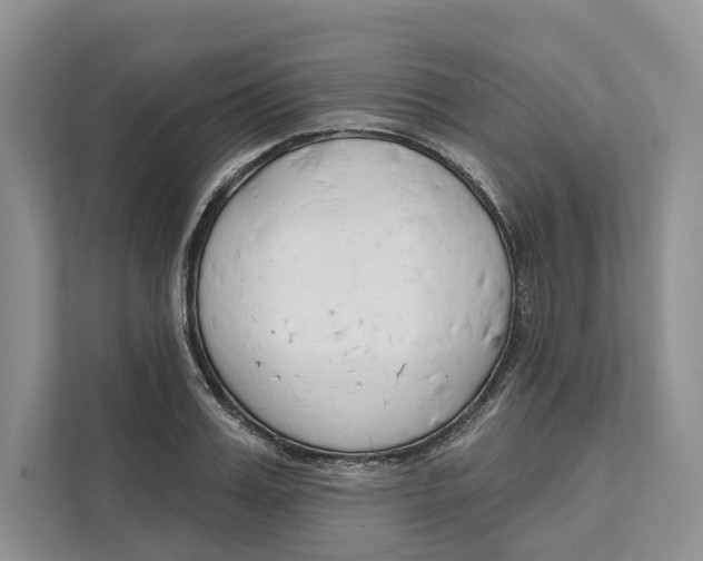 X0000111610987200908071327