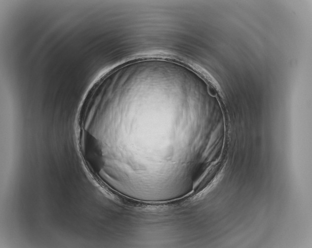 X0000111610989200908071327