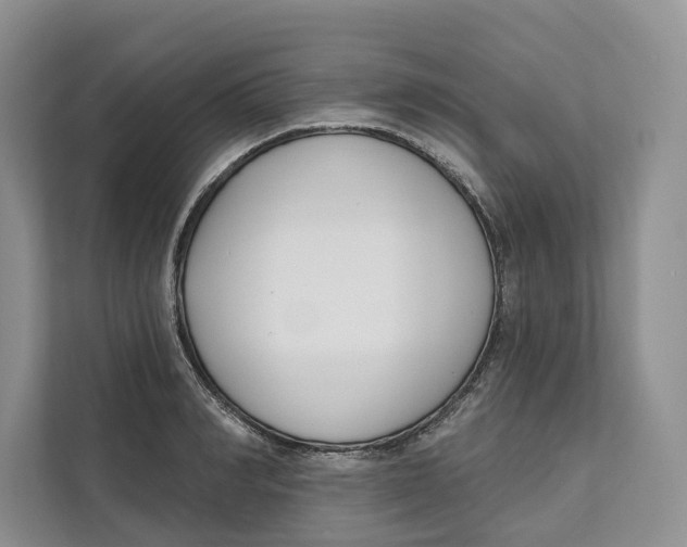 X0000111610990200908071327