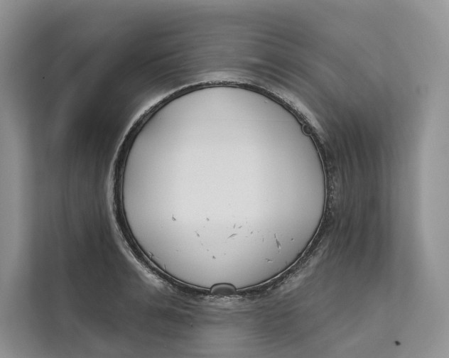 X0000111610991200908071327