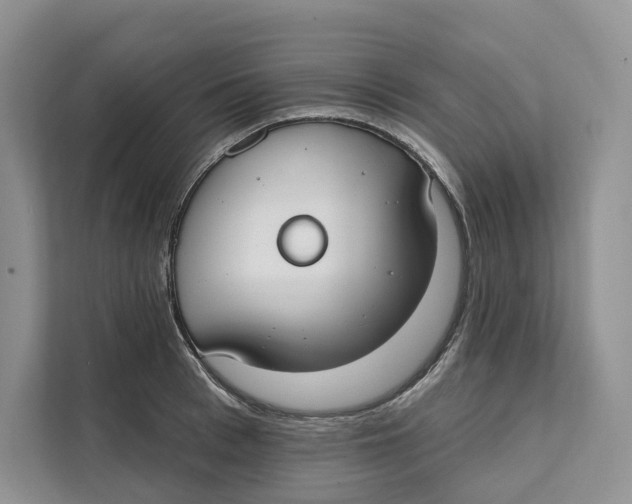 X0000111610993200908071327