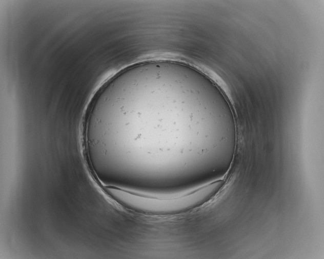 X0000111610997200908071327