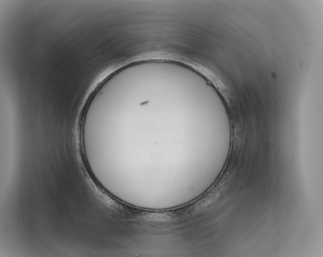 X0000111610998200908071327