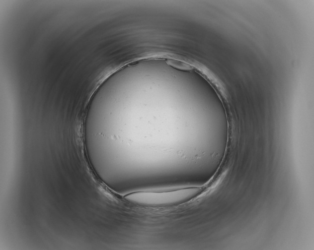 X0000111611001200908071327