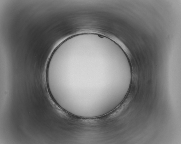 X0000111611004200908071327