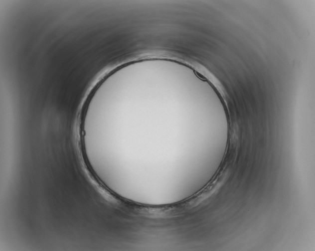 X0000111611005200908071327