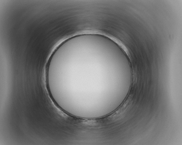 X0000111611006200908071327