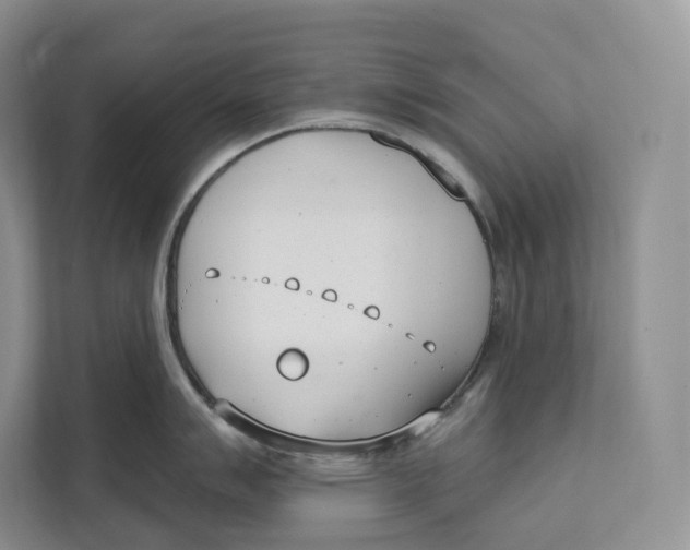 X0000111611007200908071327