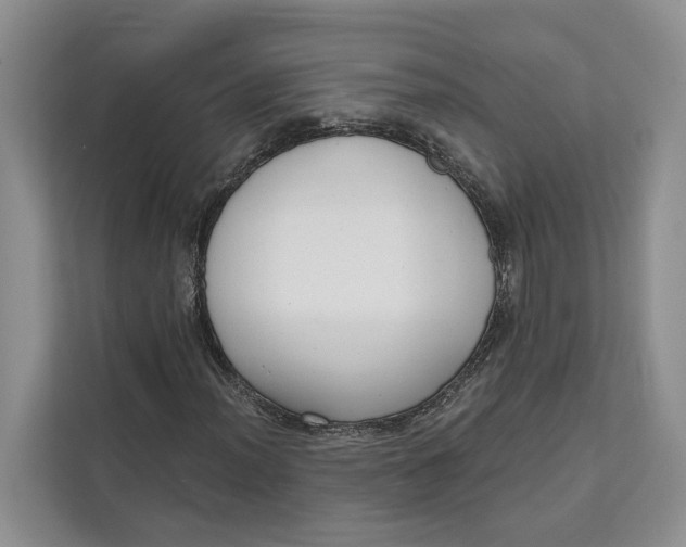 X0000111611012200908071326