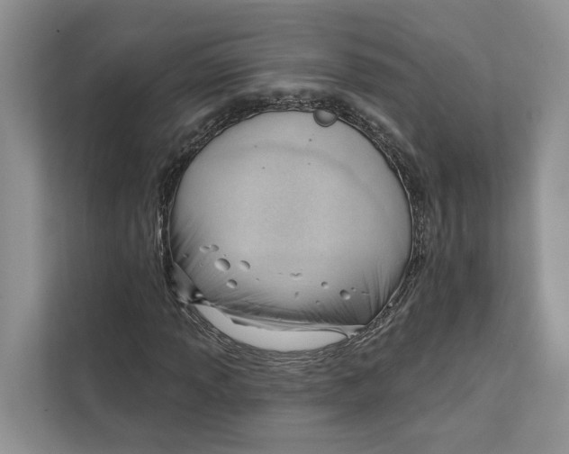 X0000111611013200908071326