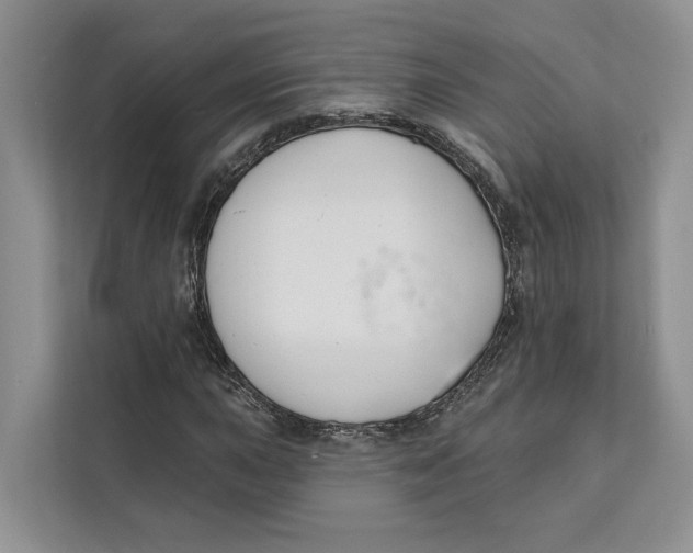 X0000111611015200908071326