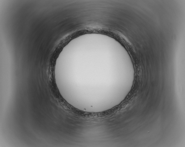 X0000111611016200908071326