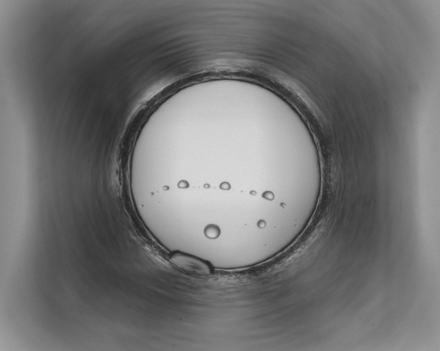 X0000111611018200908071326