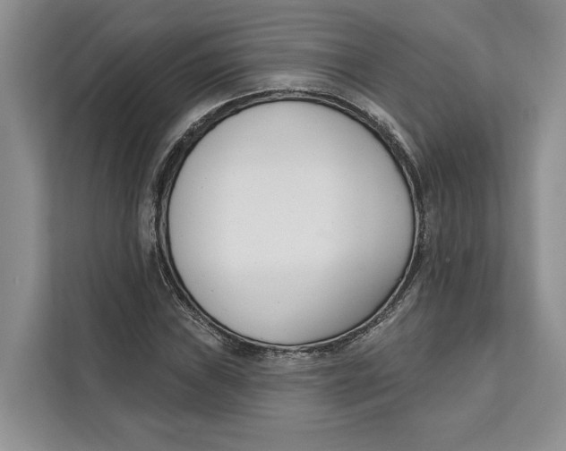 X0000111611019200908071326