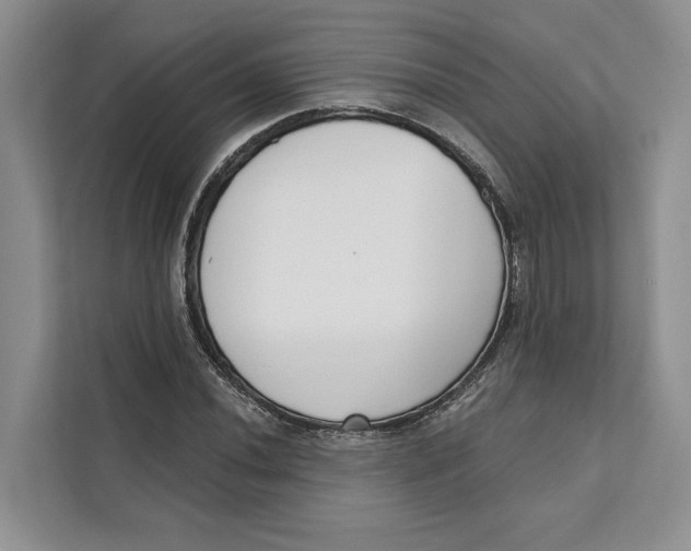 X0000111611020200908071326