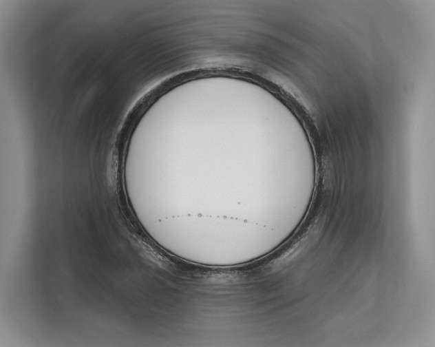 X0000111611021200908071326