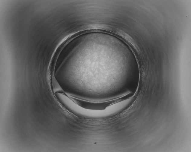 X0000111611024200908071326