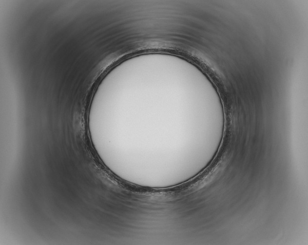 X0000111611025200908071326