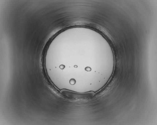 X0000111611026200908071326