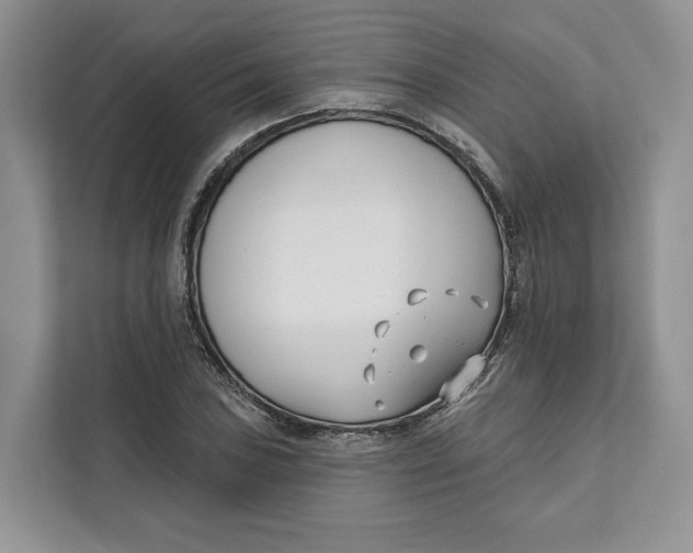 X0000111611027200908071326