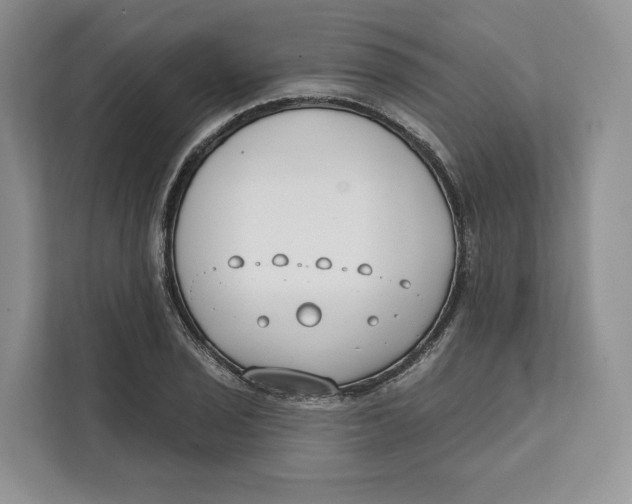 X0000111611029200908071326