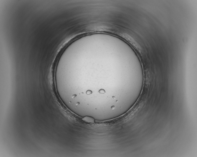 X0000111611031200908071326