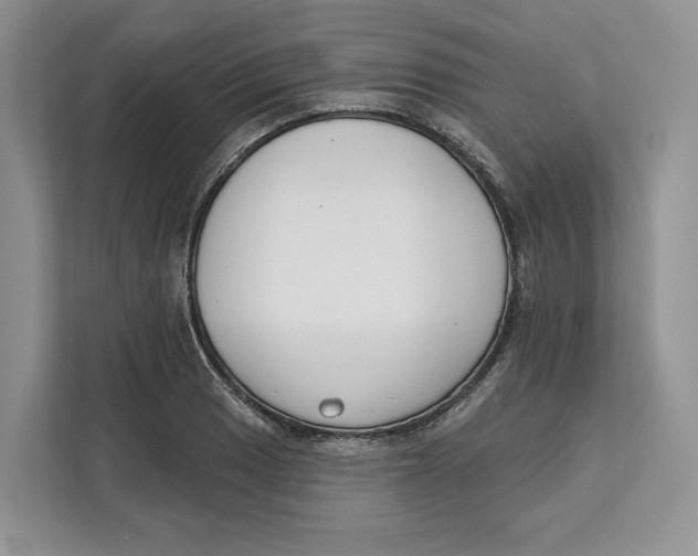 X0000111611033200908071326