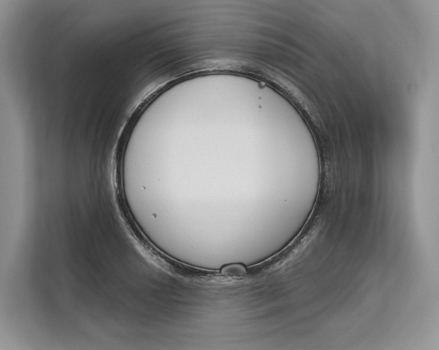 X0000111611034200908071326