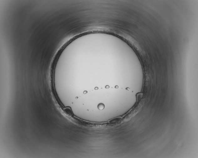 X0000111611038200908071327