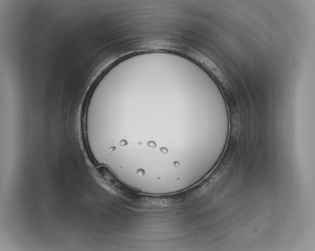 X0000111611039200908071327