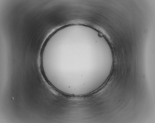 X0000111611040200908071327