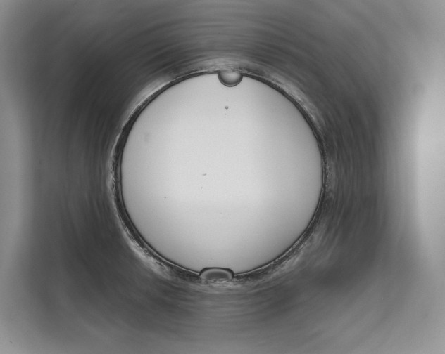 X0000111611042200908071327