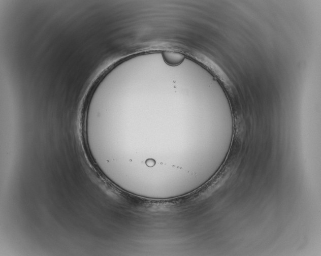 X0000111611043200908071327