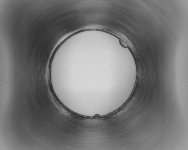 X0000111611044200908071327