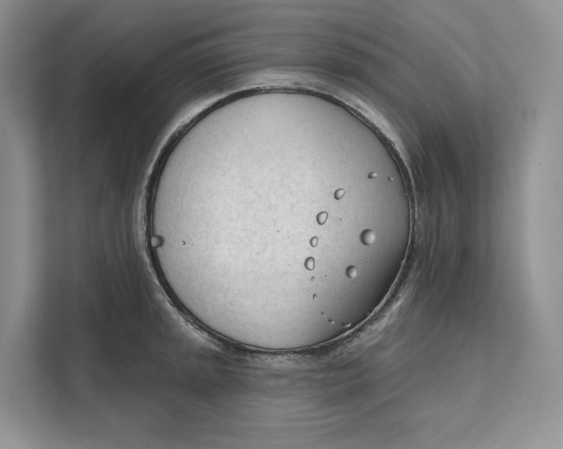 X0000111611045200908071327