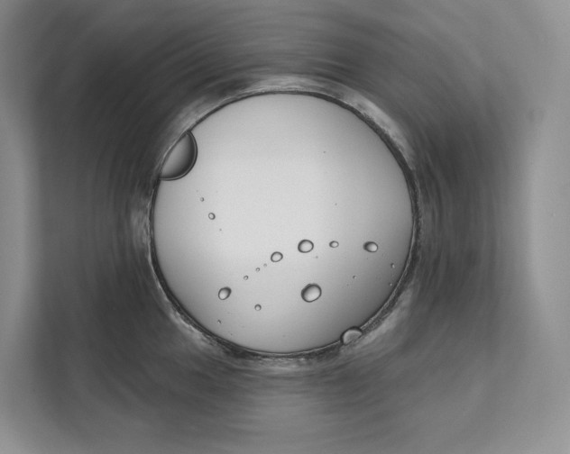 X0000111611049200908071327