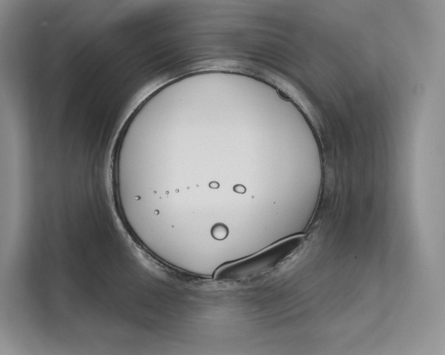 X0000111611050200908071327