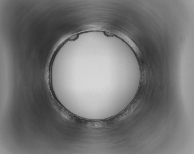 X0000111611051200908071327