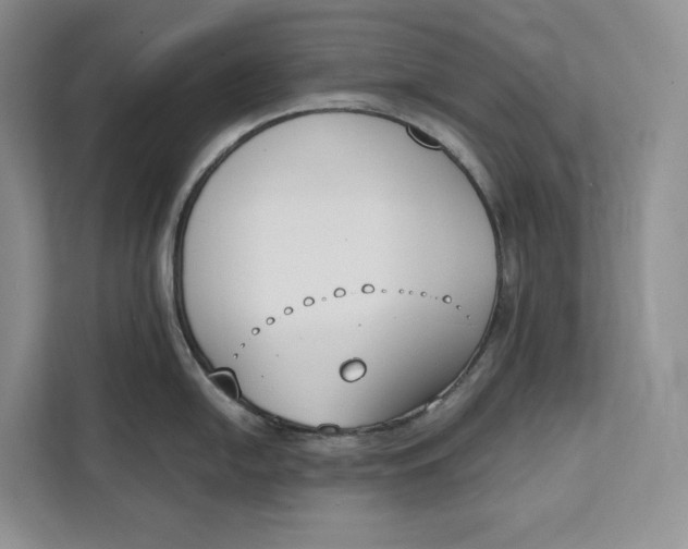 X0000111611054200908071327