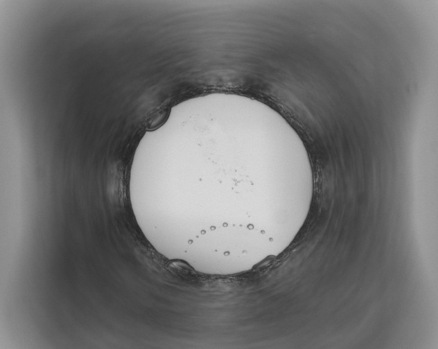 X0000111611058200908071326