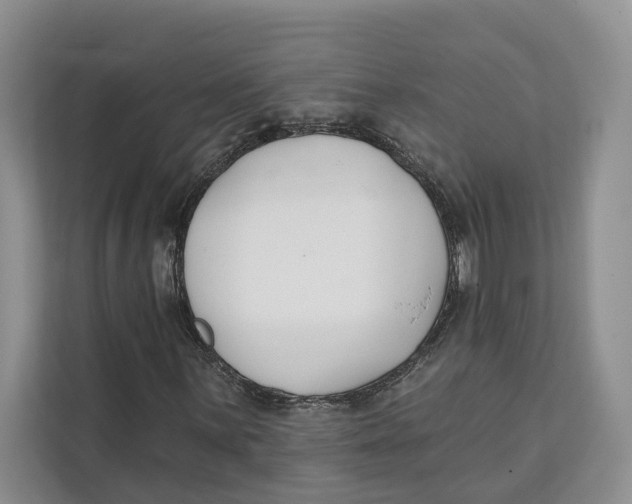 X0000111611059200908071326