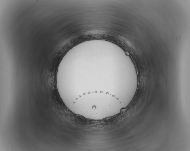 X0000111611062200908071326