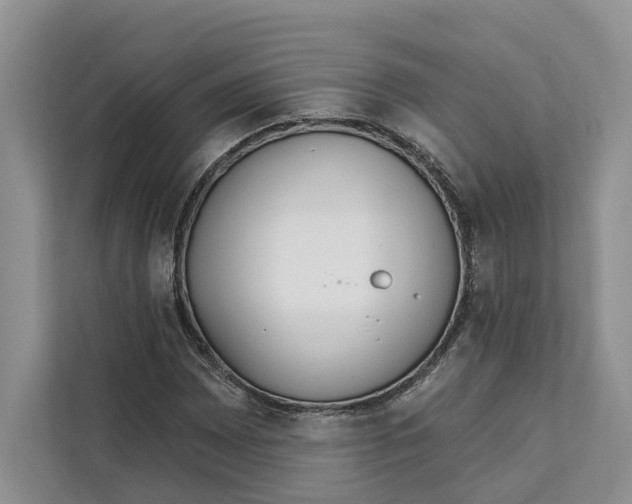 X0000111611065200908071326