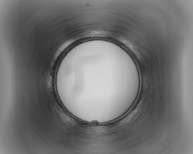 X0000111611066200908071326