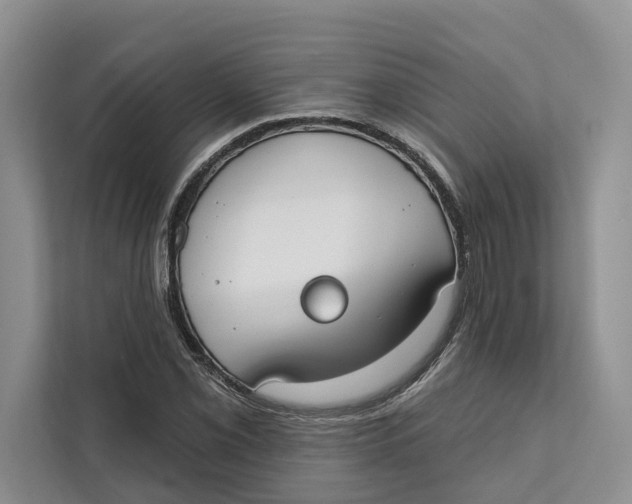 X0000111611069200908071326