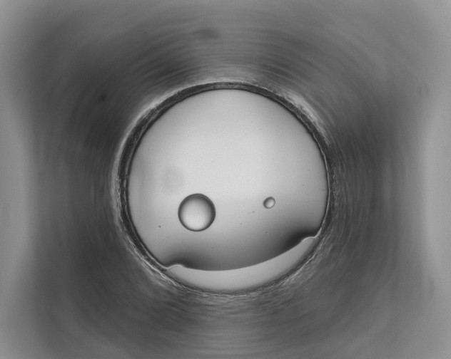 X0000111611072200908071326