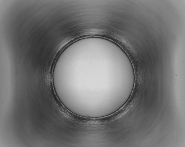 X0000111611073200908071326