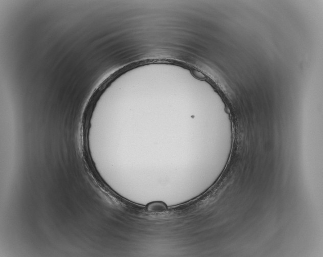 X0000111611076200908071326