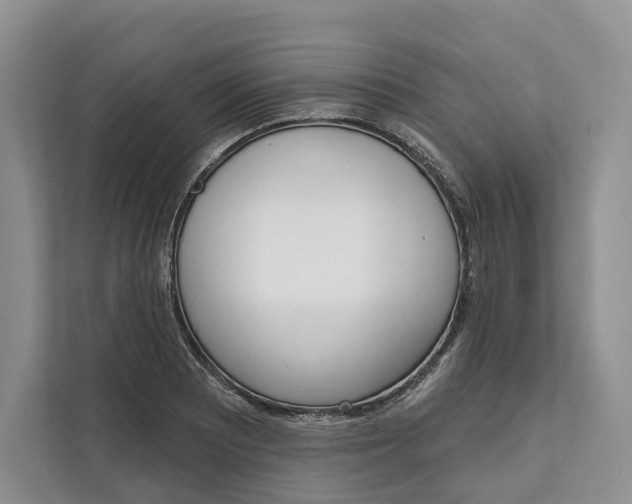 X0000111611081200908071326